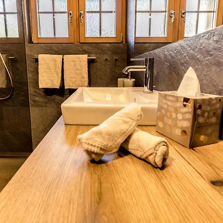 Arcade & Lejlighed Saas Fee