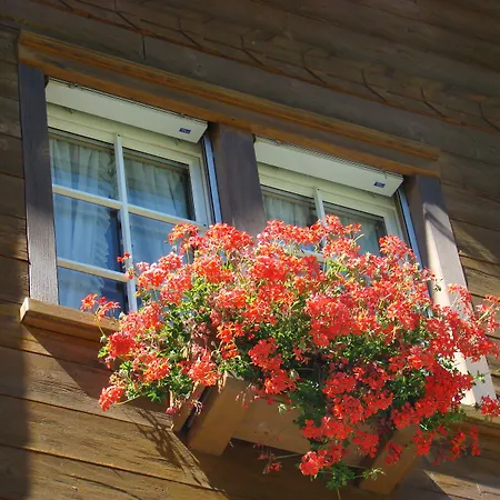 Arcade & Διαμέρισμα